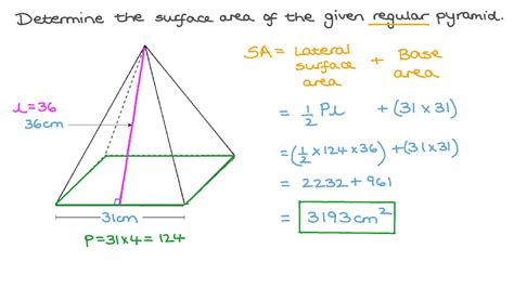 base area + 1 / 2 × perimeter × slant length. Video: Finding the Total Surface Area of a Square Pyramid ...