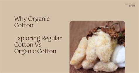 Why Organic Cotton Exploring Regular Cotton Vs Organic Cotton