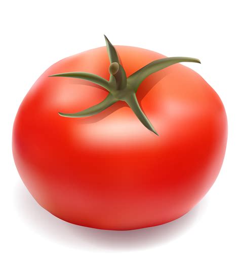 Desenho De Tomate