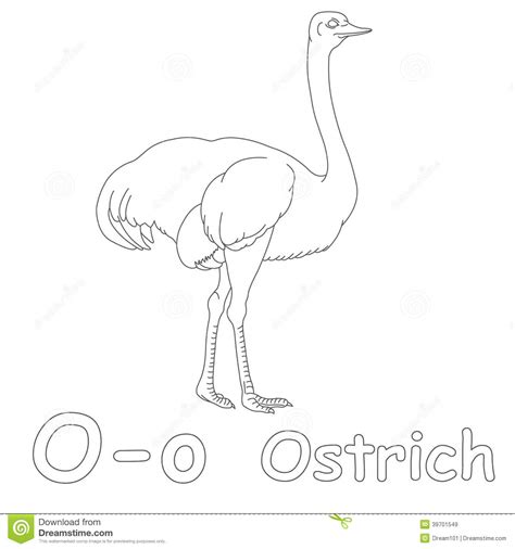 Hola como ya te dijeron se dice ostrich. O Para La Página Del Colorante De La Avestruz Stock de ilustración - Imagen: 39701549