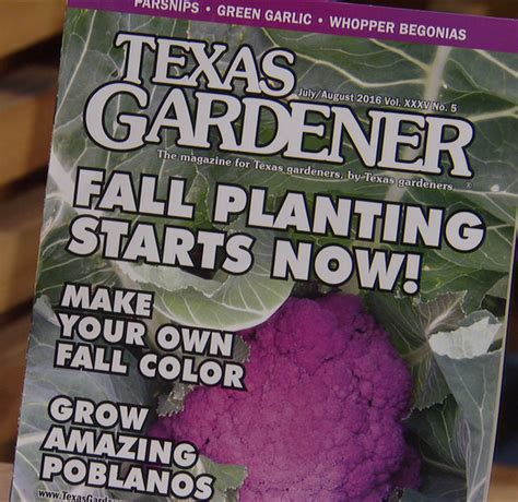 Fall Into Winter Vegetables Crockett Hs Gardeners Central Texas Gardener