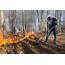 Prescribed Burn To Be Held At WVU Research Forest  E News West
