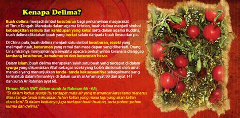 Jus delima diperolehi dengan mengeluarkan cecair dari daging dan mengasingkan tetapi perlu anda tahu bahawa bukan semua jus delima dibuat dengan cara yang sama. Kenapa Jus delima Pomepure Asia | Khairulaza.com