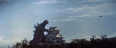 Share the best gifs now >>>. Godzilla vs King Kong, posible pelicula que se viene ...