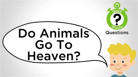 Do Animals Go To Heaven Youtube