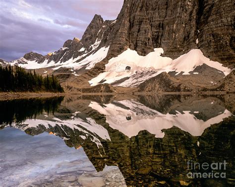 Floe Lake Reflection Photograph By Tracy Knauer