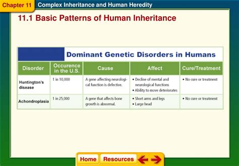 Ppt Section 1 Basic Patterns Of Human Inheritance Powerpoint