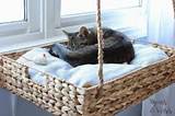Pictures of Upscale Cat Beds