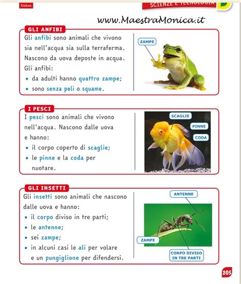 I VERTEBRATI: un lapbook-scienze-classe 3^ | MaestraMonica Italian
