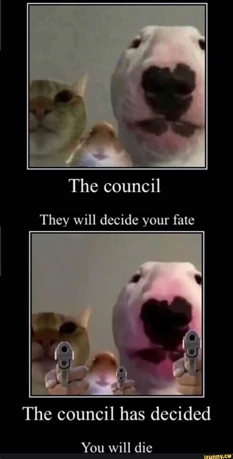 They Will Decide Your Fate The Council Has Decided You Will Die