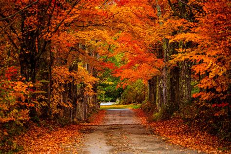 The 10 Best Places To See Fall Foliage In The Northeast Trailblazer