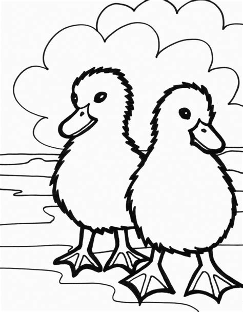 Cute Animal Coloring Pages Best Coloring Pages For Kids