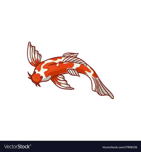 Japanese Asian Koi Carp Goldfish Gold Fish Top View Flat Style