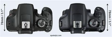 Canon T6 Vs Canon T7 Comparison Review