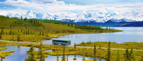 Denali National Park Bus Tours