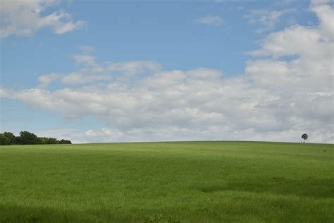Hd Wallpaper Grass Field During Daytime Landscape Meadow Sky