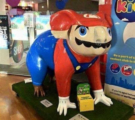 Image Result For Cursed Images Cursed Images Mario Memes Funny Memes