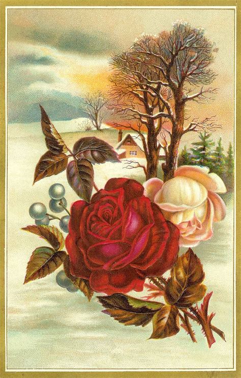 Antique Images Flower Rose Clip Art Vintage Graphic Of Red And White