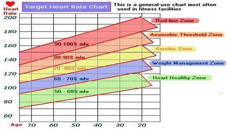 7 Rate Chart Templates Free Sample Example Format Download