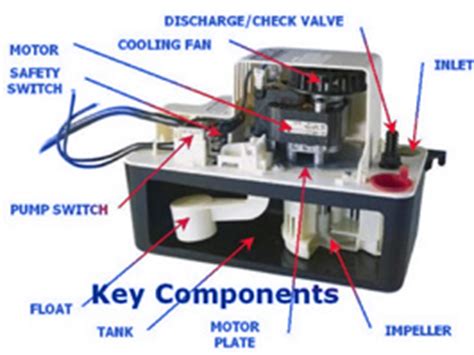Wiring instructions provided in the wiring diagram and electrical connections sections of this pump performance curves. Shop Condensate Pumps
