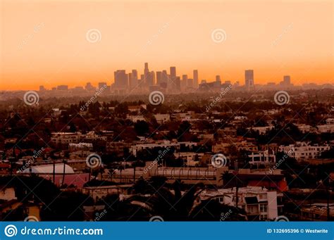 Los Angeles City Skyline At Dawn Stock Photo Image Of City Flowering