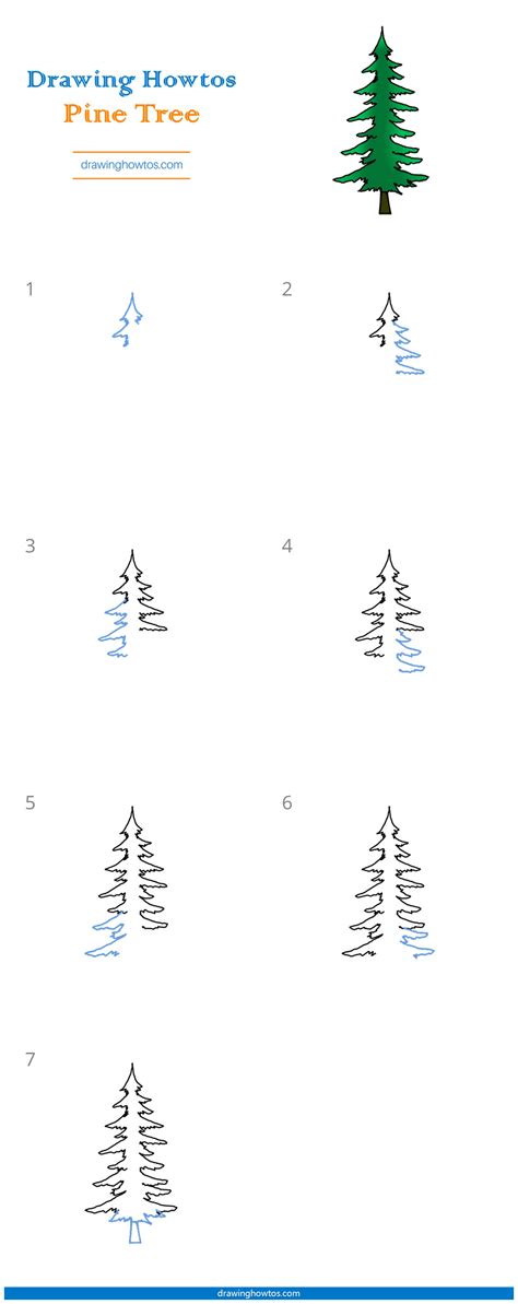 Https://tommynaija.com/draw/how To Draw A Pine Tree Step By Step
