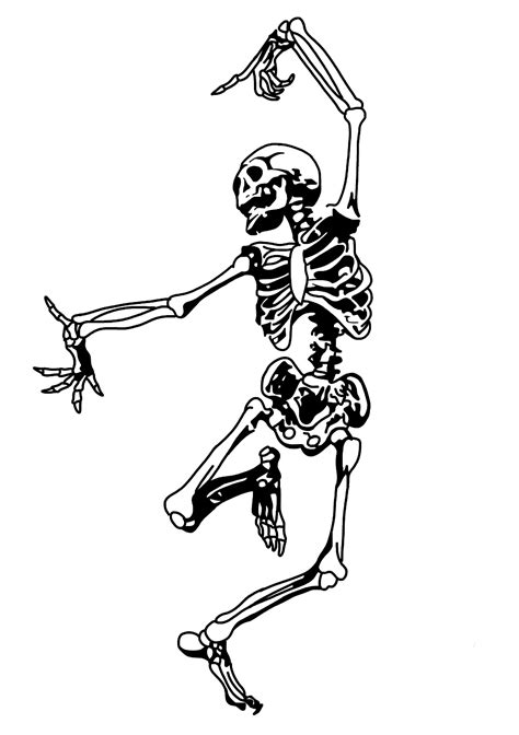 Funny Skeleton Png Transparent Png Png Collections At Dlfpt