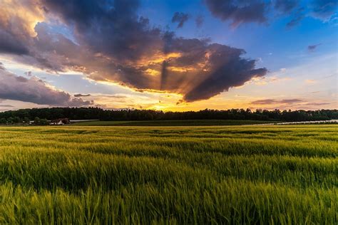 Details 100 Sky Evening Background Abzlocalmx