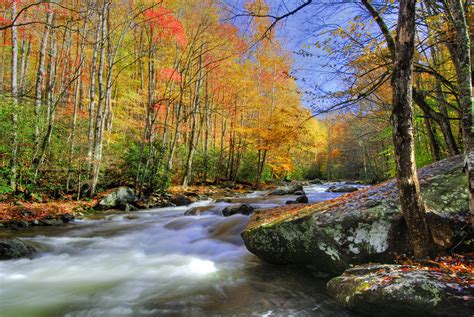 Tripadvisor has 2,929,489 reviews of tennessee hotels, attractions, and restaurants making it your best tennessee resource. Tennessee Travel Guide