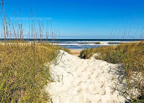 Its Time To Open Beaches And Economy Amelia Island Living Emagazine And Travel Guide