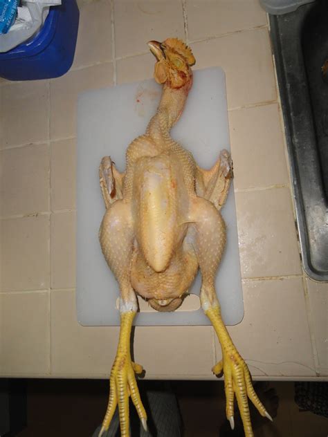 (jika takde salinan ic, boleh mintak kalau nak tukar nama geran guna kaki ic, boleh ke. Kaki Ayam Mentah Warna Hitam, Boleh Makan Lagi Ke ...