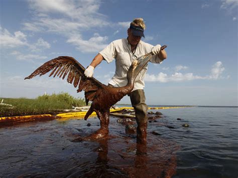 Deepwater Horizon Oil Spill 100 Days 100 Photos Pictures Cbs News
