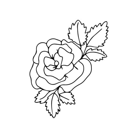 Mano Dibujado Rosa Flor Con Dentado Conformado Hojas En Tallos