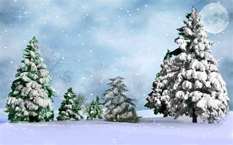 Blue And White Pine Tree Animated Illustration Hd Wallpaper Wallpaper