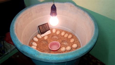 Diy Homemade Incubator How To Make Egg Incubator Simple And Easy Hatching Chicken Eggs