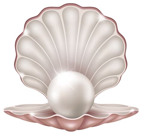 Download Beautiful Clam With Pearl Png Image For Free