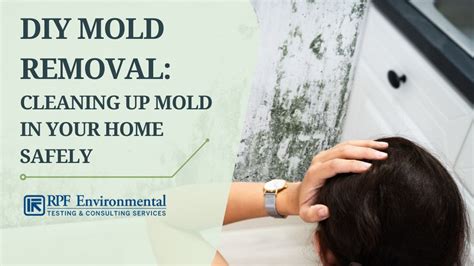 Diy Mold Removal Can You Clean Up Mold Yourself