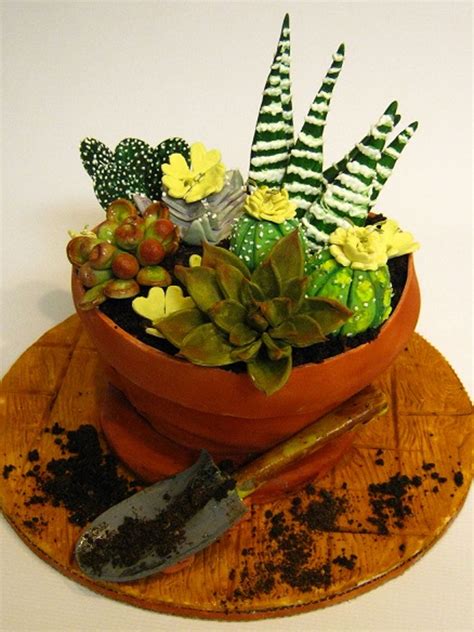 Add the look of succulents easily with these decorations. Succulent Flower Pot Cake - CakeCentral.com