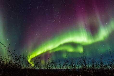 See Alaskas Captivating Northern Lights On This Fairbanks
