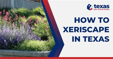 Xeriscape Texas A Guide To Water Wise Landscaping In 2023