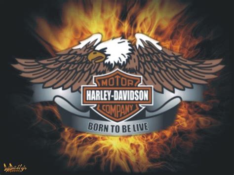 Download hd wallpapers for free on unsplash. Free Harley Davidson Wallpapers - Wallpaper Cave