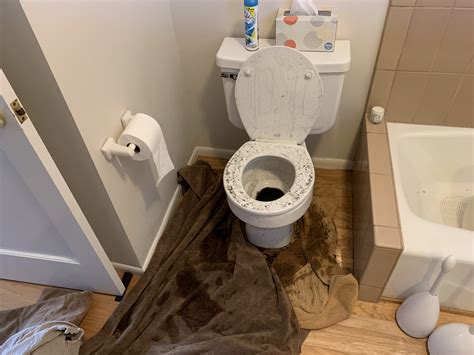 How Do I Handle A Toilet Overflow Flood Brothers Plumbing