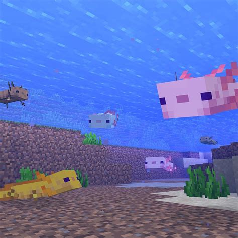 Minecraft Axolotls Wallpapers Wallpaper Cave