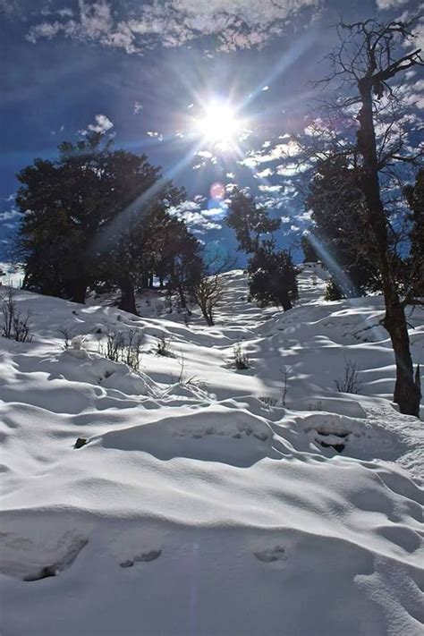 Moderate to heavy snowfall continued in himachal pradesh for the second day sunday, hampering the movement of traffic on most of the roads, especially in upper. Some days you just have to create your own sunshine ...