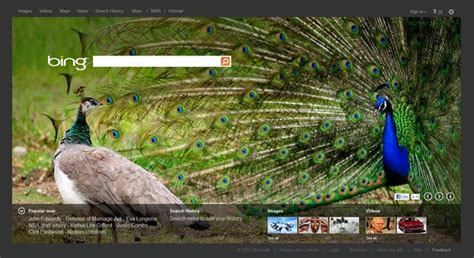 Bing Homepage Gets A Revamp Neowin