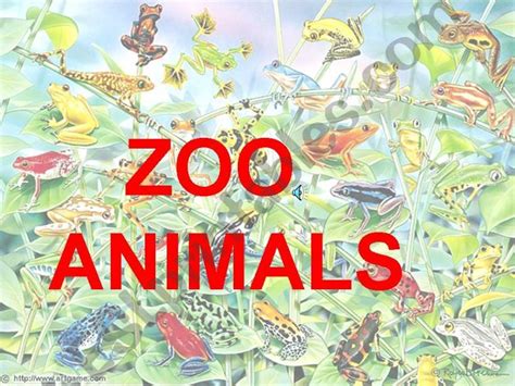 Esl English Powerpoints Animals In The Zoo