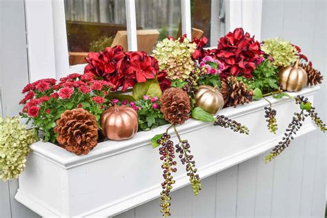 Good Fall Flowers For Window Boxes Window Box