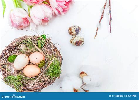 Easter Eggs In Nest Cotton And Pink Fresh Tulip Bouquet On Rustic White