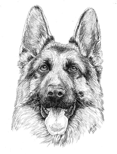 Cartoon German Shepherd Puppy Coloring Page Coloring Pages For