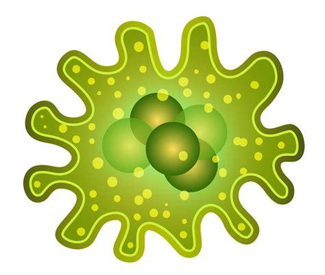 Germs Png Picture Transparent Background Germs Clipart Full Size